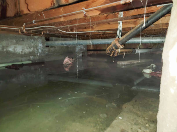 Best Sewage cleanup and water damage restoration  in Kahului, HI