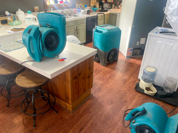 Best Basement water damage restoration  in Kahului, HI