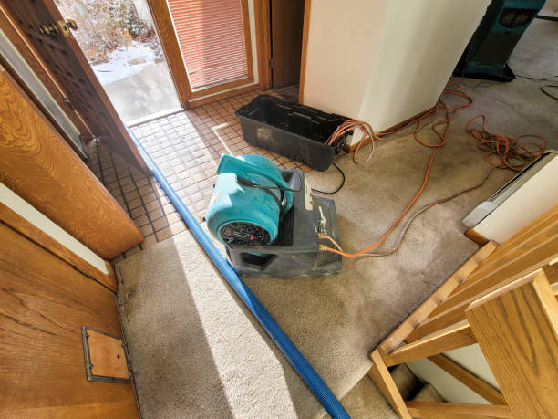 Best Water damage contractors near me  in Kahului, HI