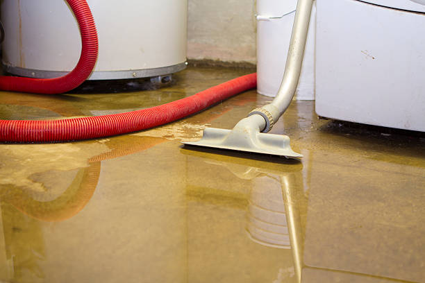 Best Flood restoration services  in Kahului, HI