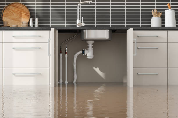 Best Water damage restoration near me  in Kahului, HI